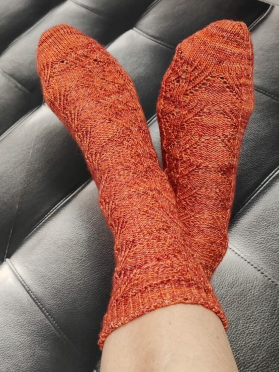 2025_tricot_Trigonometry socks_02