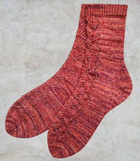 2025_tricot_Trigonometry socks_05