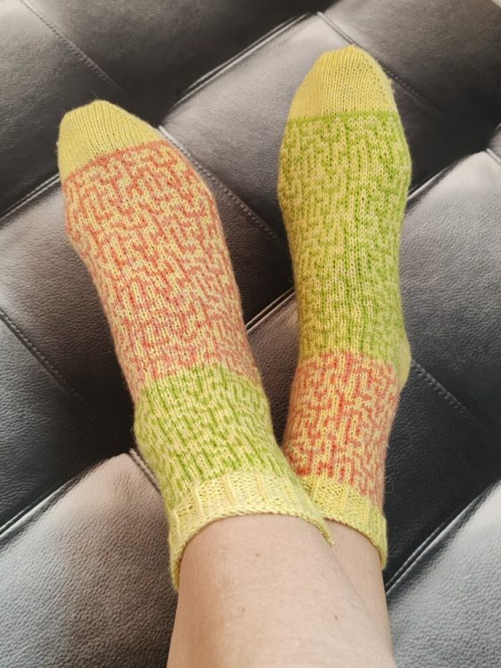 2025_tricot_crazy_maze_socks_02